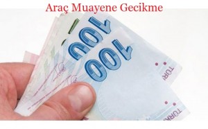 araç muayene gecikme